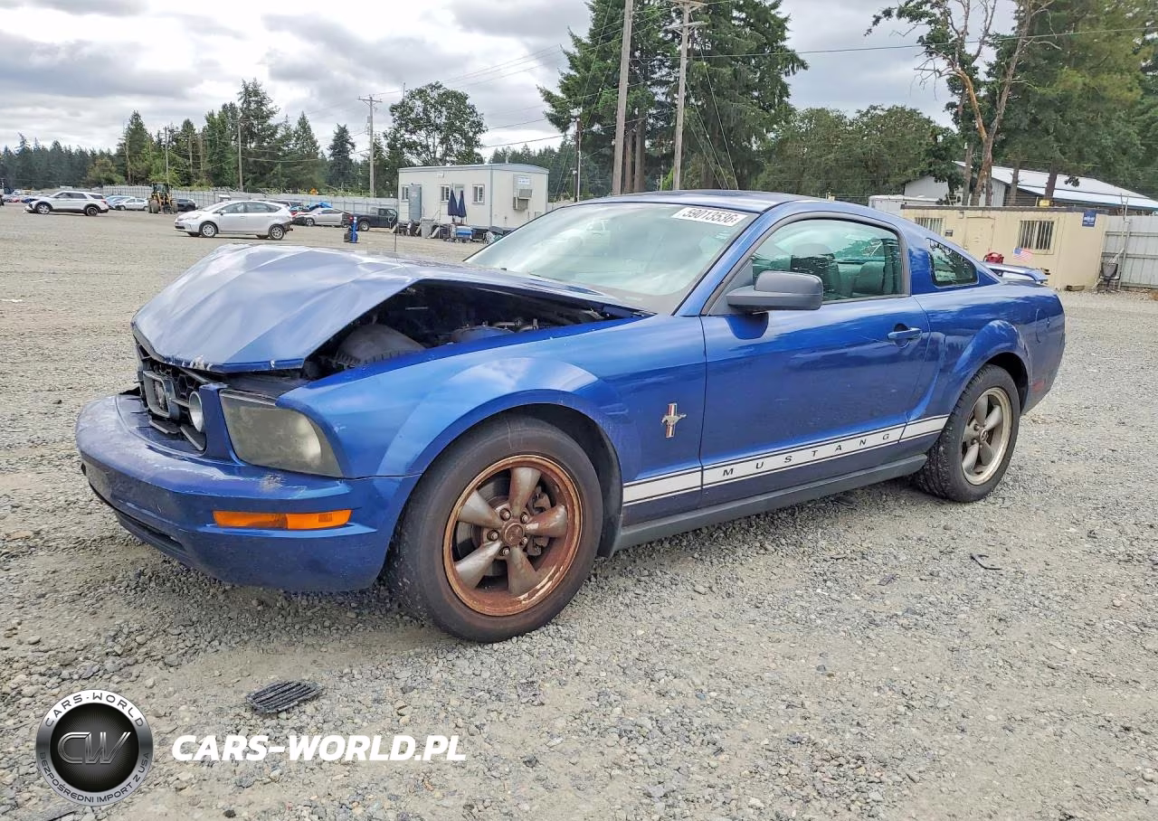 2006 Ford Mustang – zdjęcie 1 z 12