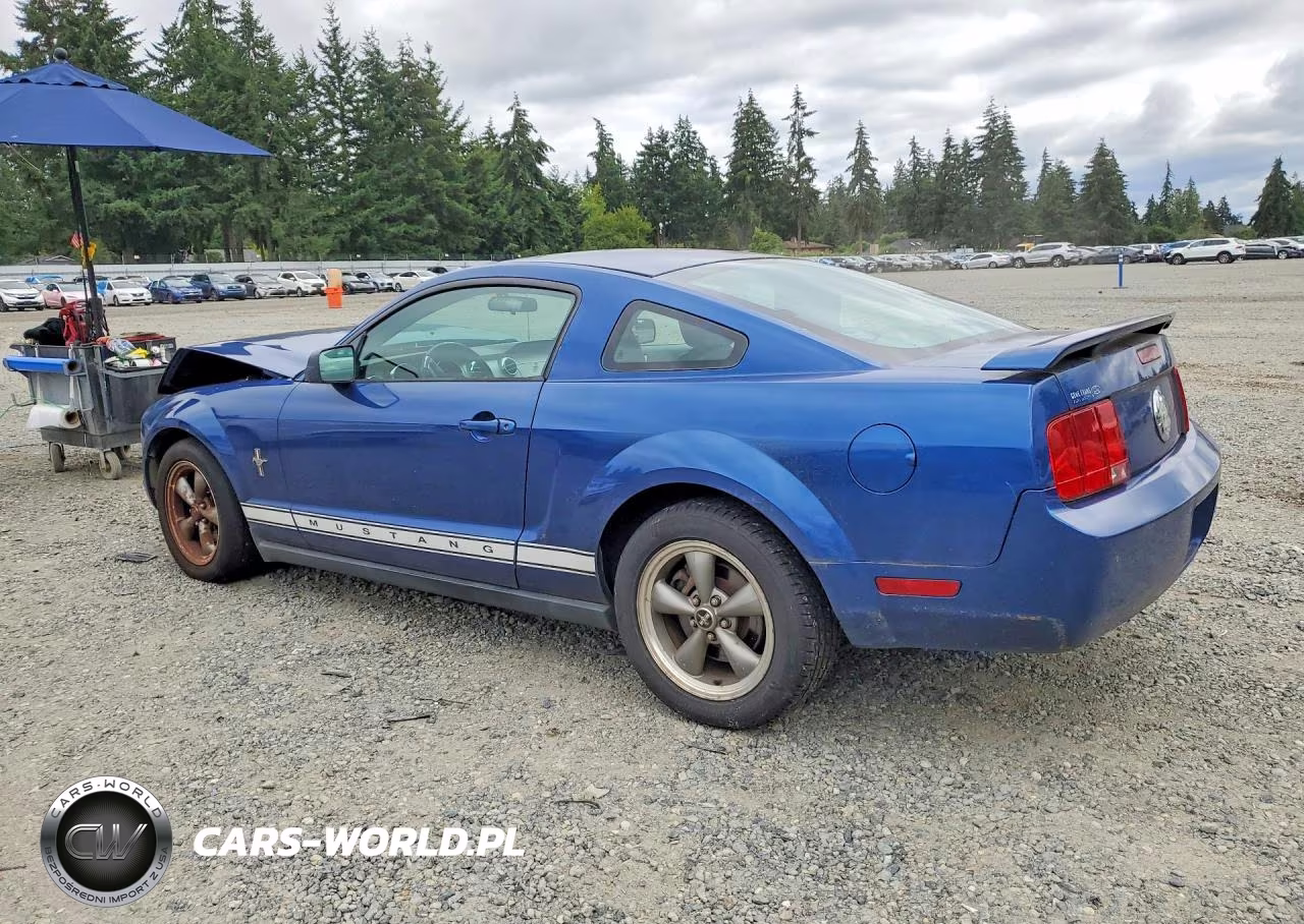 2006 Ford Mustang VIN:1ZVHT80N765153469 - 2