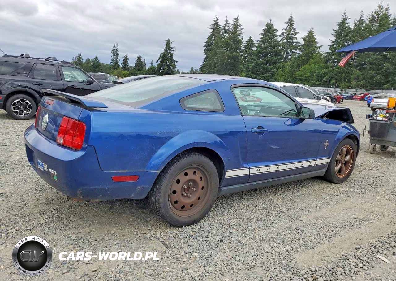 2006 Ford Mustang VIN:1ZVHT80N765153469 - 3