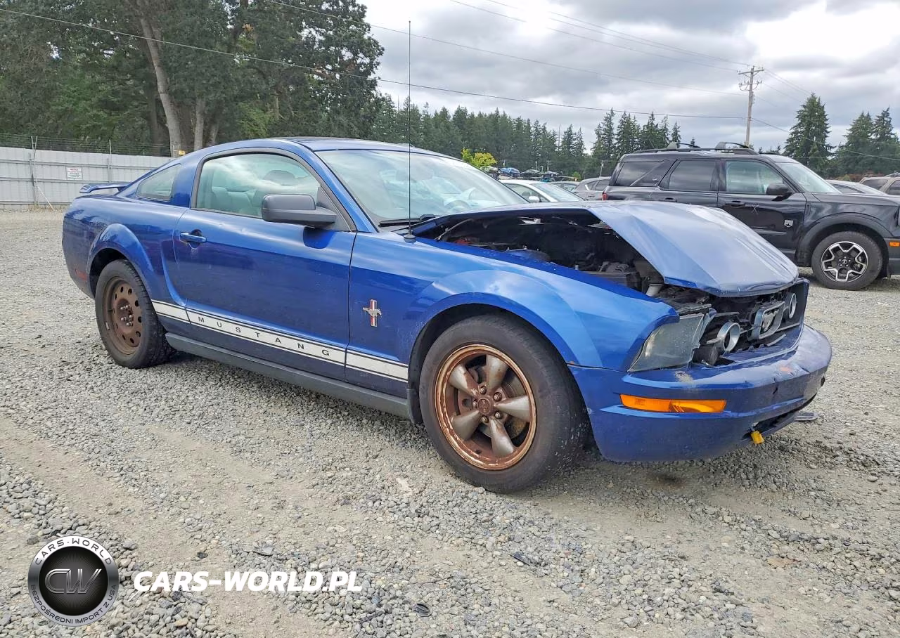 2006 Ford Mustang VIN:1ZVHT80N765153469 - 4