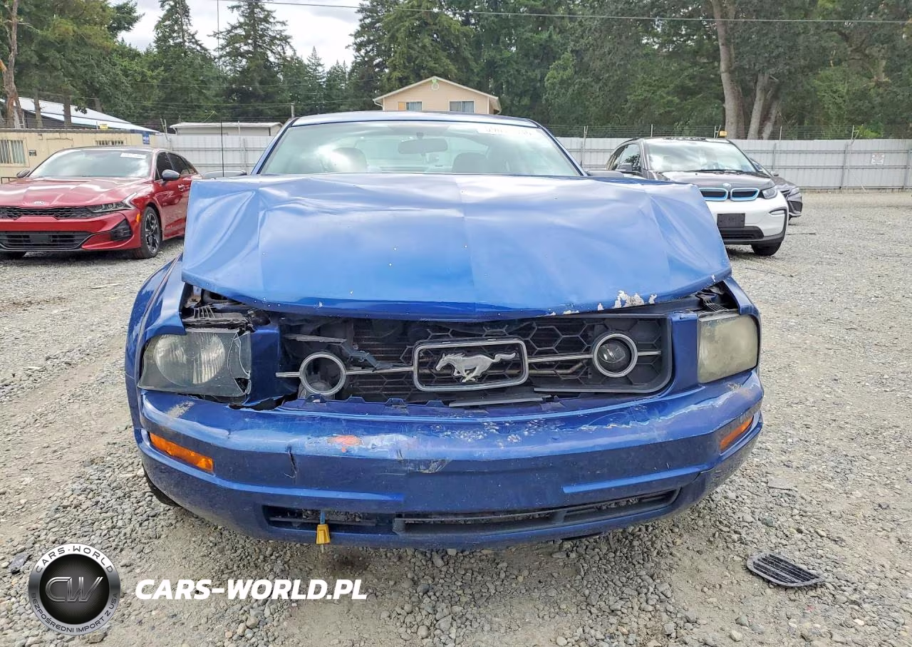 2006 Ford Mustang VIN:1ZVHT80N765153469 - 5