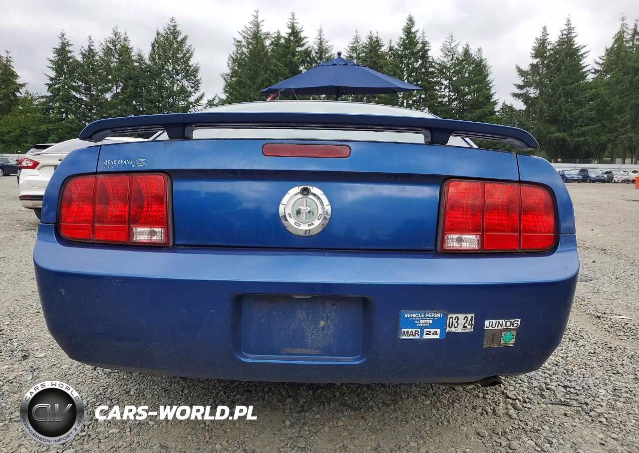 2006 Ford Mustang VIN:1ZVHT80N765153469 - 6
