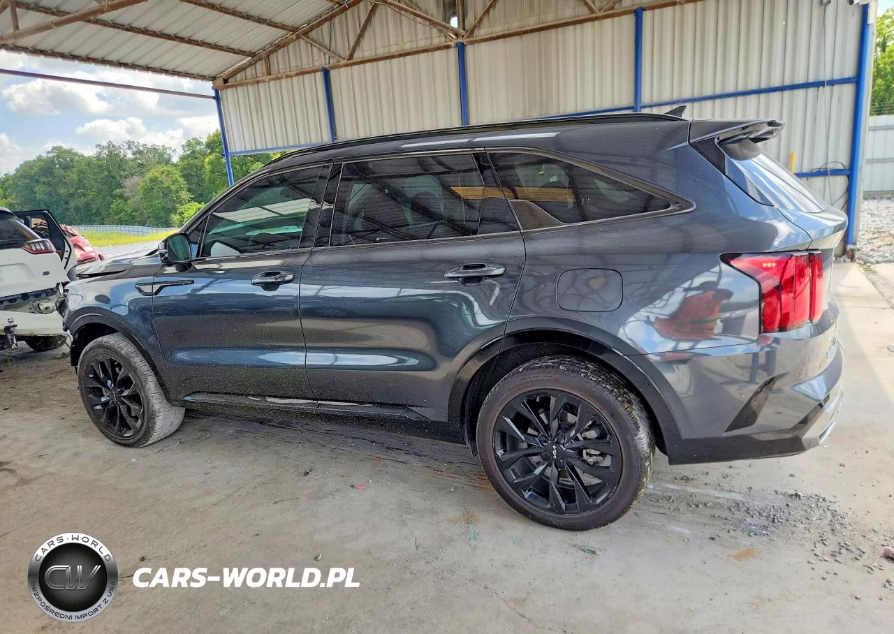 2023 Kia Sorento Sx Prestige VIN:5XYRKDLF6PG204640 - 2