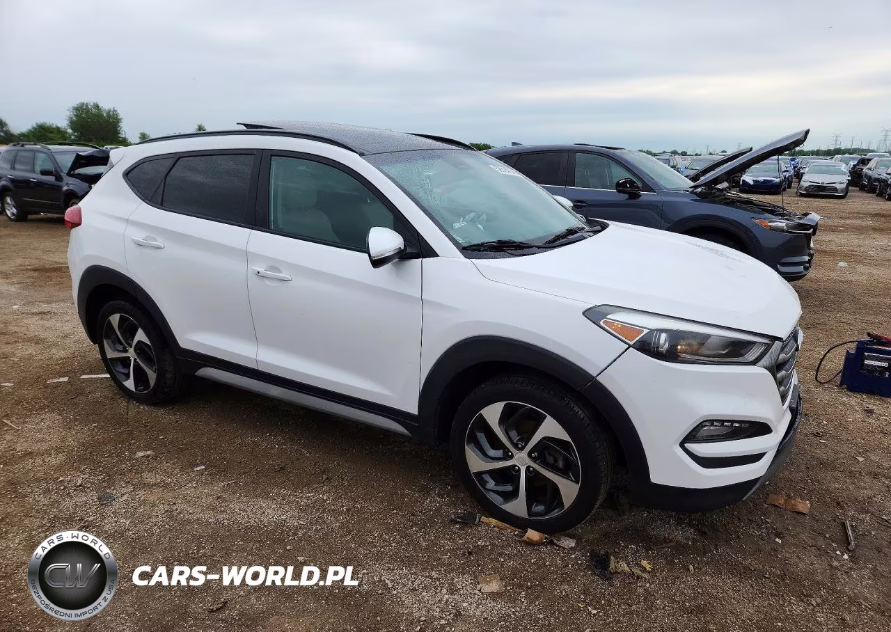 2018 Hyundai Tucson Value VIN:KM8J33A28JU779876 - 4