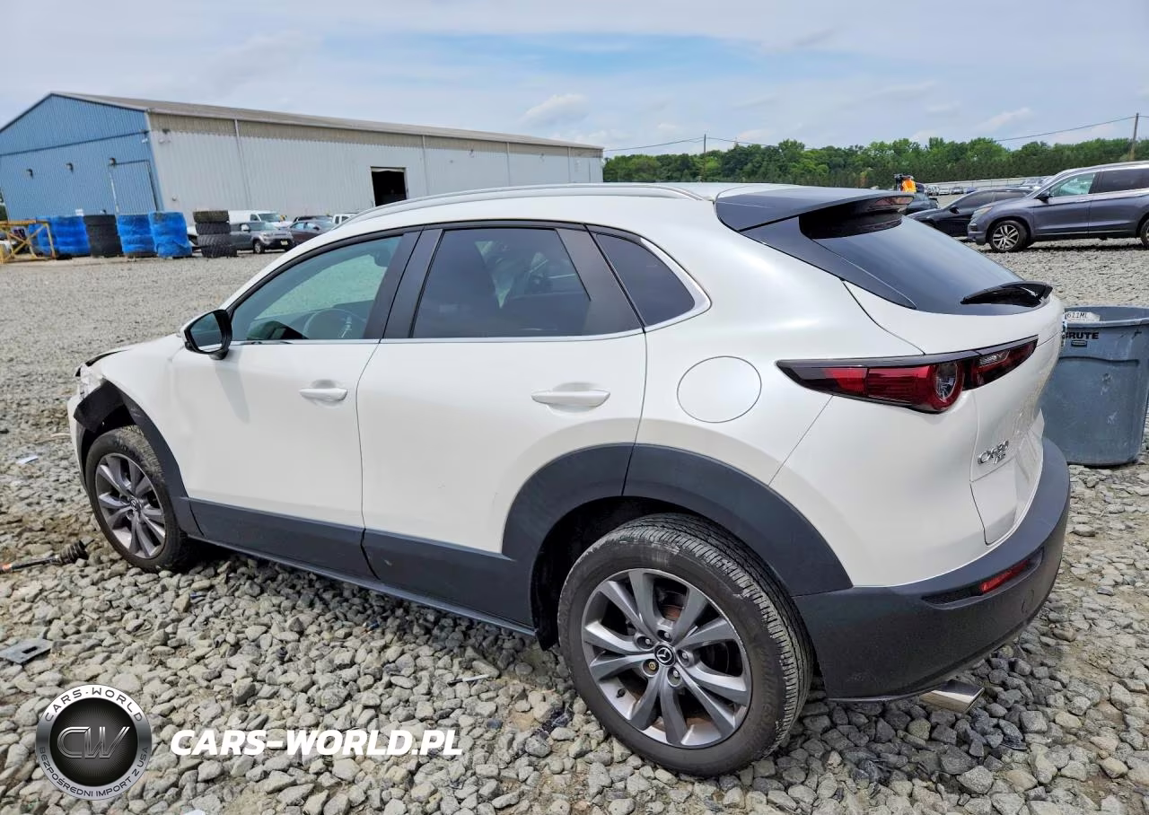 2024 Mazda Cx-30 Preferred VIN:3MVDMBCM0RM607444 - 2