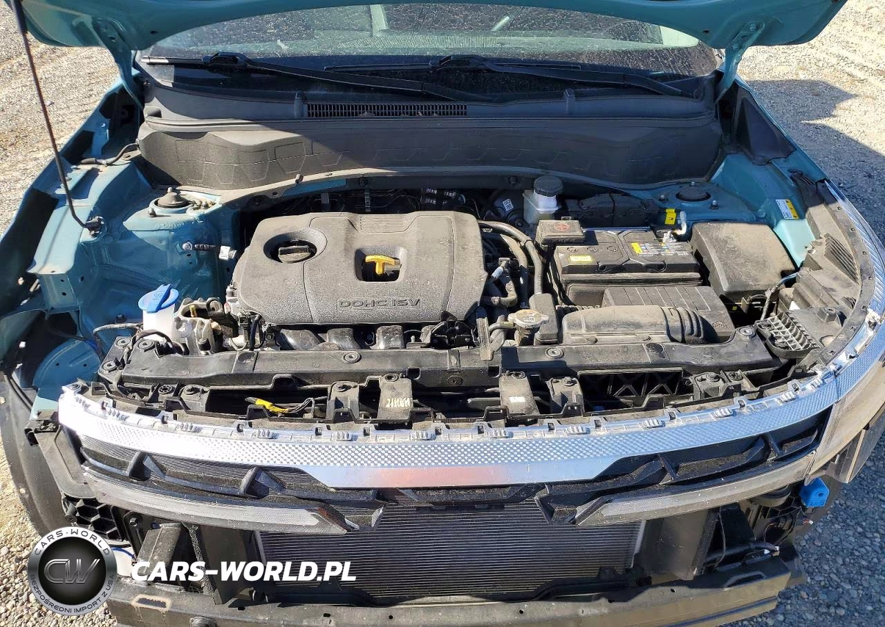 2025 Kia Seltos Ex VIN:KNDER2AA9S7689772 - 11