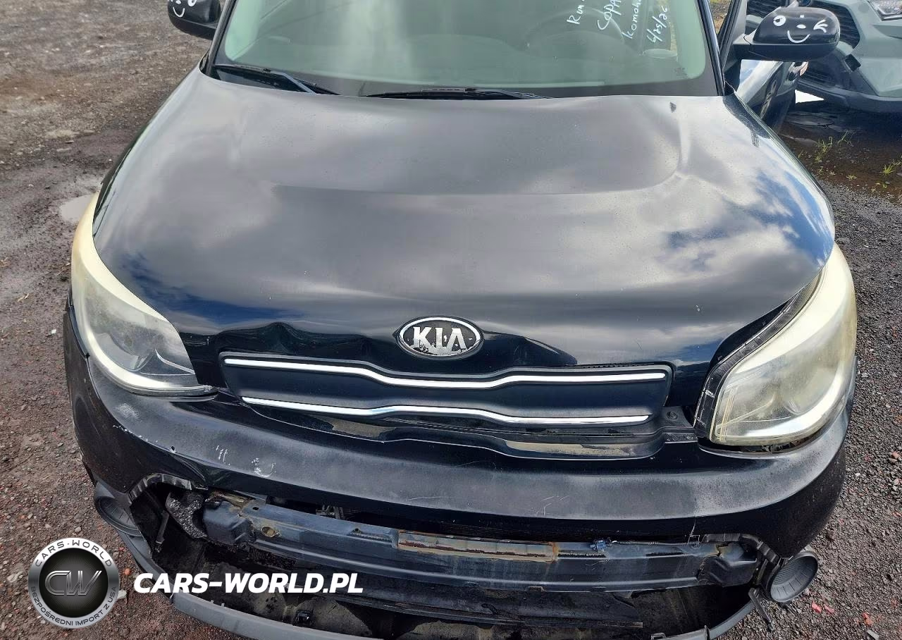 2017 Kia Soul Base VIN:KNDJN2A24H7496179 - 11