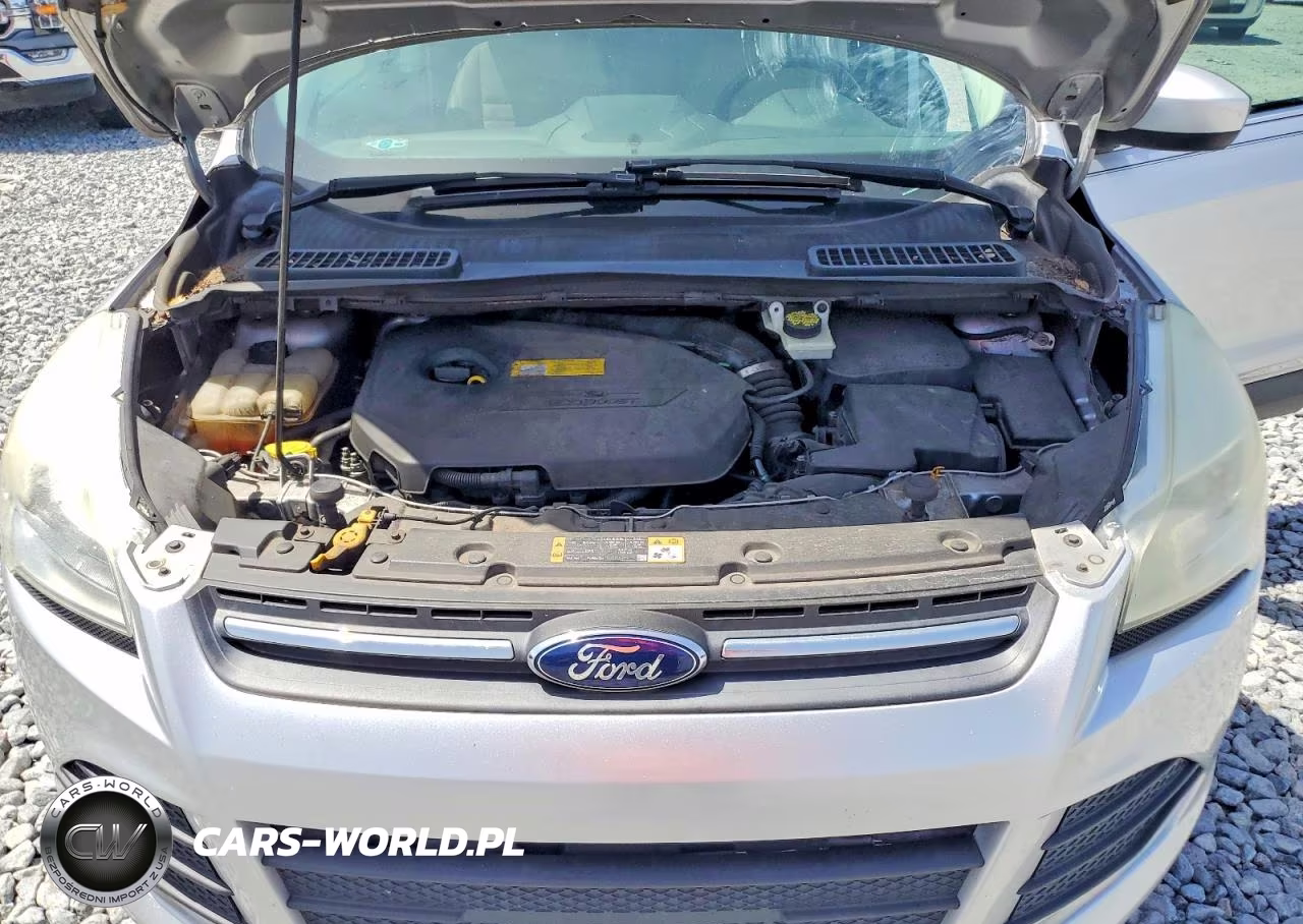 2016 Ford Escape Se VIN:1FMCU0GX4GUB31175 - 12