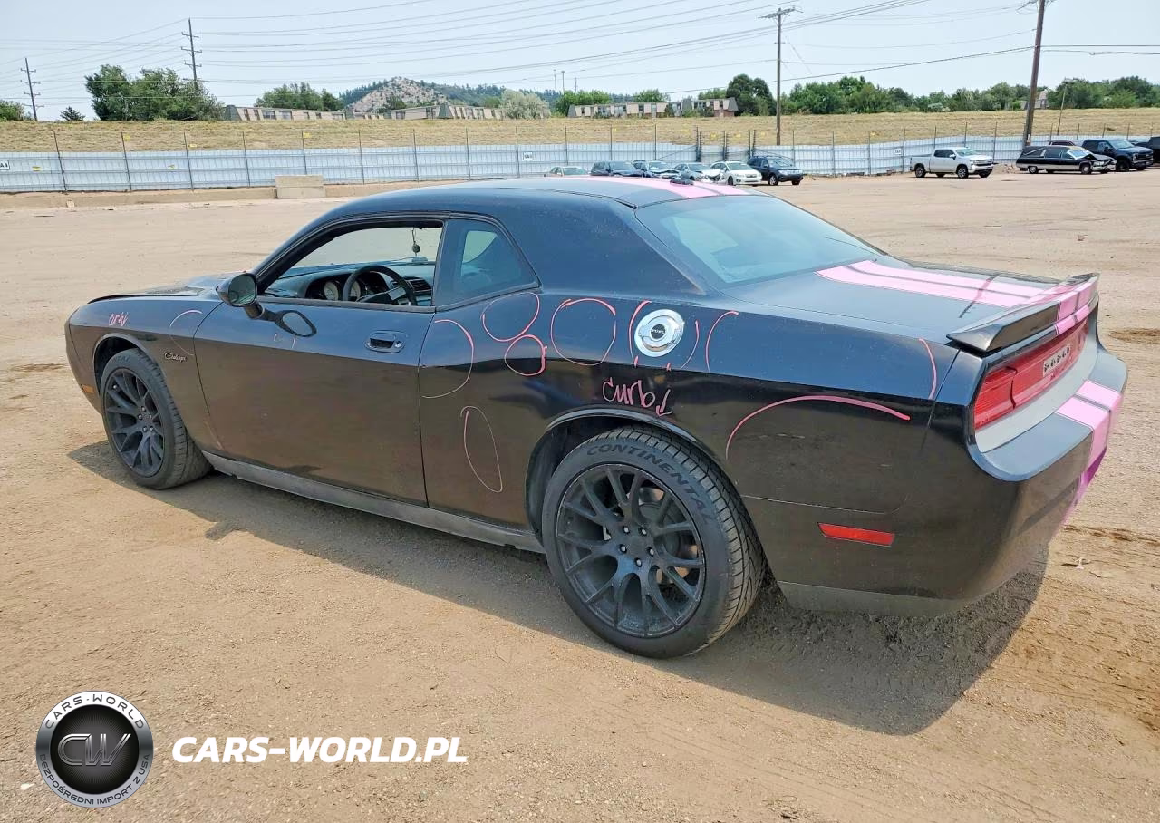 2010 Dodge Challenger Se VIN:2B3CJ4DVXAH240789 - 2