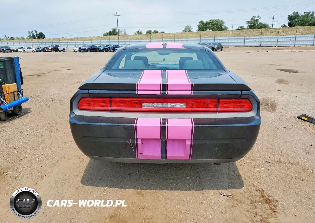 2010 Dodge Challenger Se VIN:2B3CJ4DVXAH240789 - 6