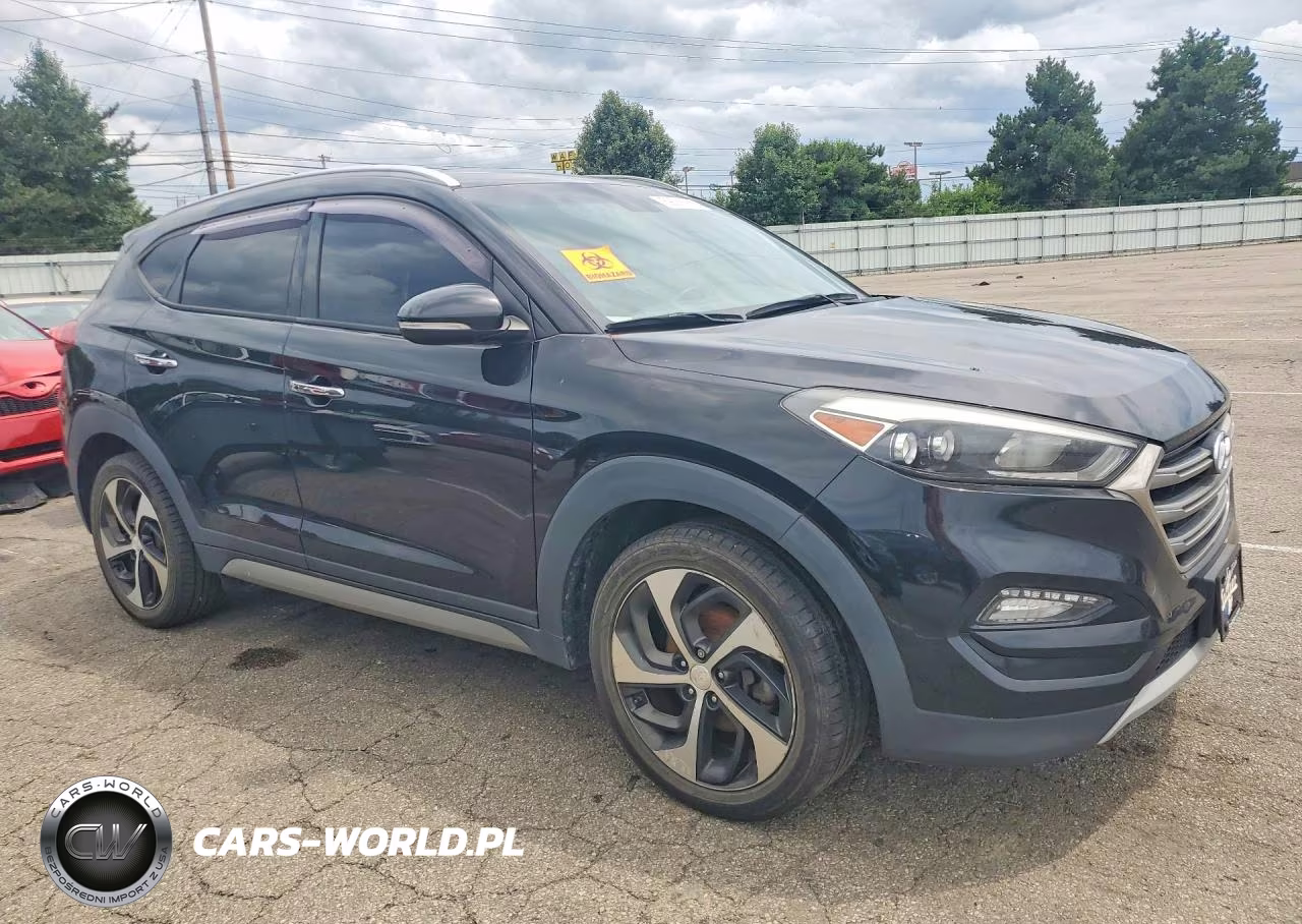 2017 Hyundai Tucson Limited VIN:KM8J3CA26HU294873 - 4