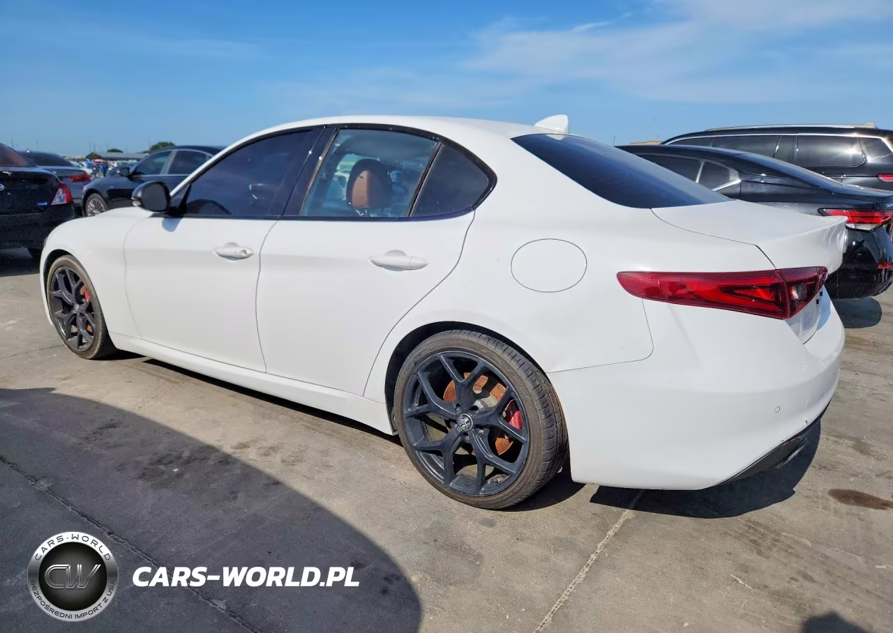 2019 Alfa Romeo Giulia VIN:ZARFAMAN7K7622765 - 2