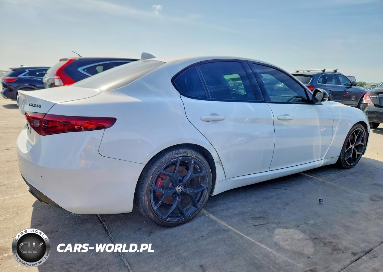 2019 Alfa Romeo Giulia VIN:ZARFAMAN7K7622765 - 3