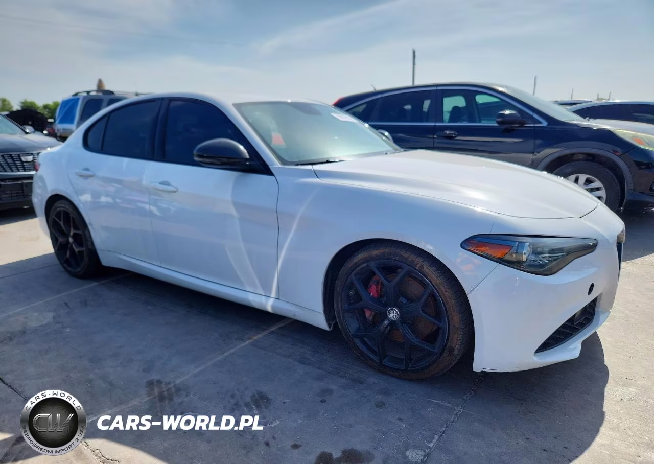 2019 Alfa Romeo Giulia VIN:ZARFAMAN7K7622765 - 4