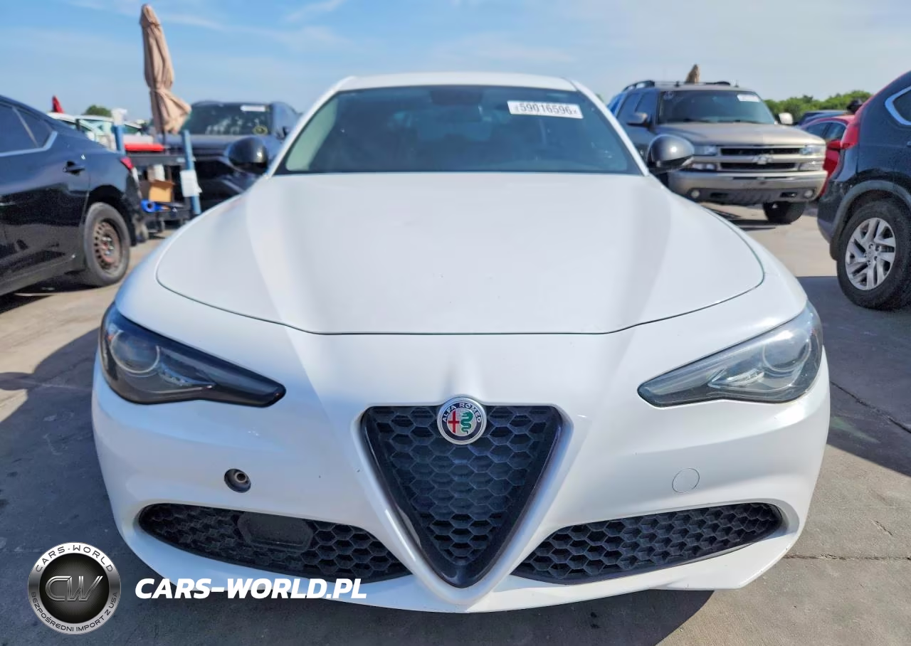 2019 Alfa Romeo Giulia VIN:ZARFAMAN7K7622765 - 5