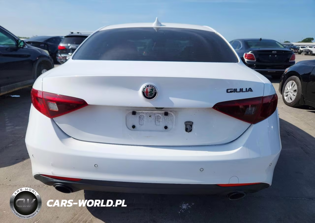 2019 Alfa Romeo Giulia VIN:ZARFAMAN7K7622765 - 6