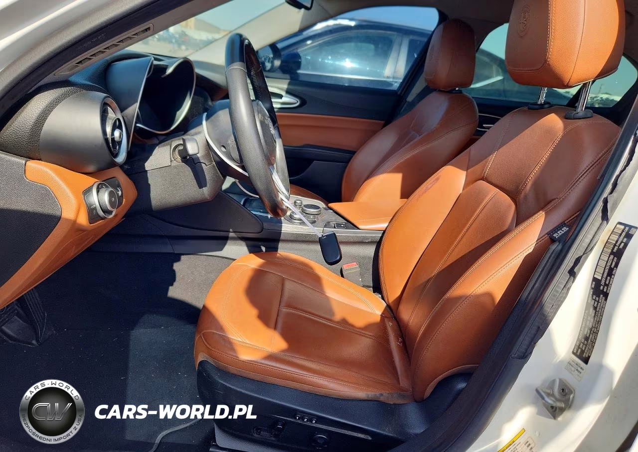 2019 Alfa Romeo Giulia VIN:ZARFAMAN7K7622765 - 7