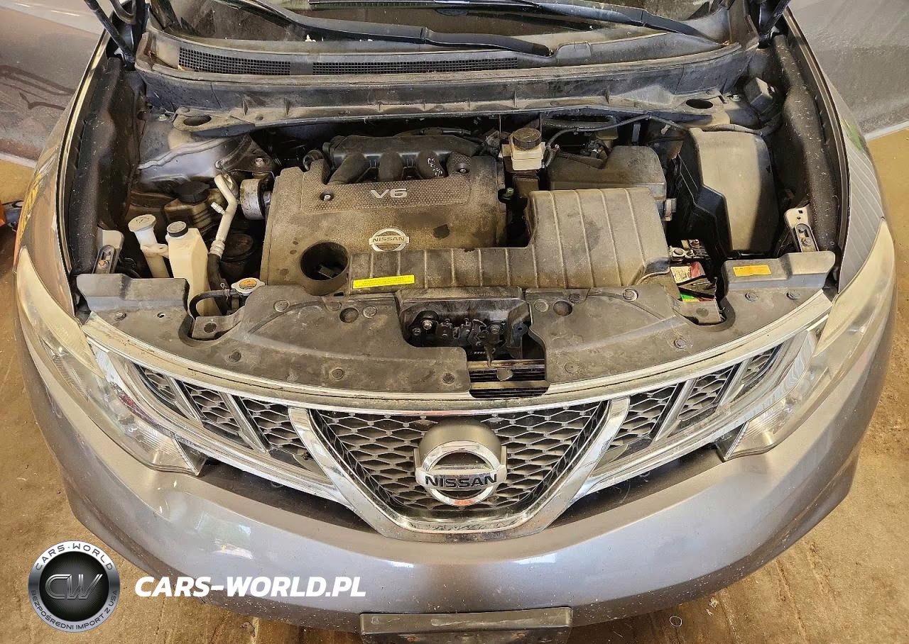 2014 Nissan Murano Le VIN:JN8AZ1MW7EW504889 - 11