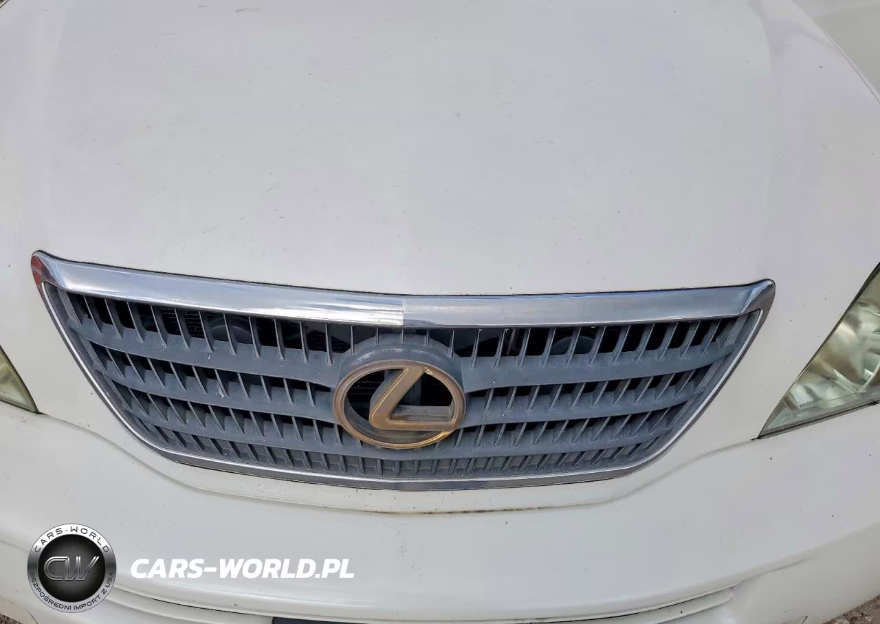 2006 Lexus Rx 400 VIN:JTJHW31UX60028849 - 11