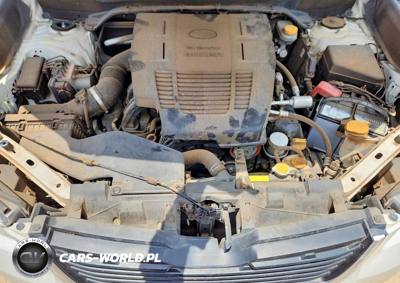 2019 Subaru Forester Premium VIN:JF2SKAGC8KH401231 - 11