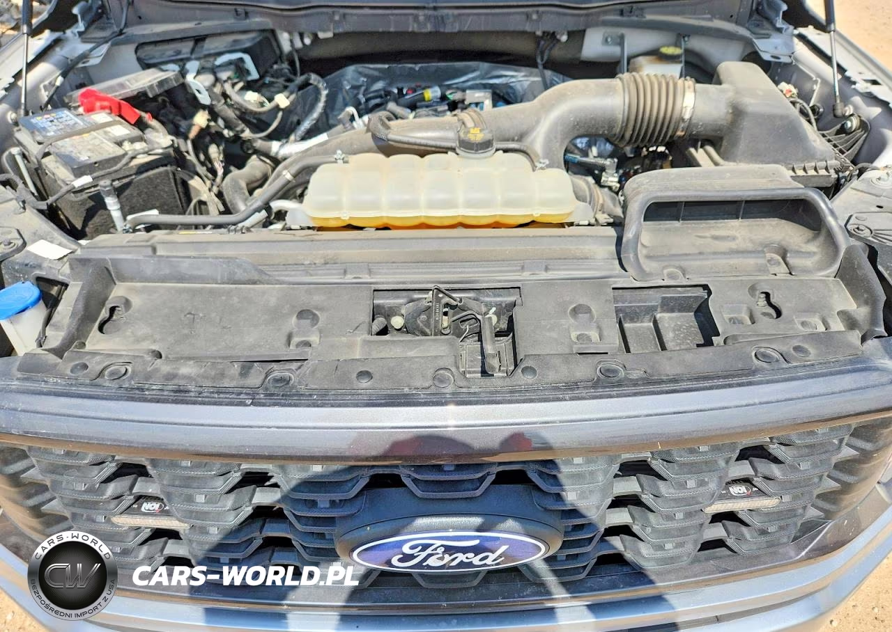 2024 Ford F150 Stx VIN:1FTEW2KP0RKF17892 - 11