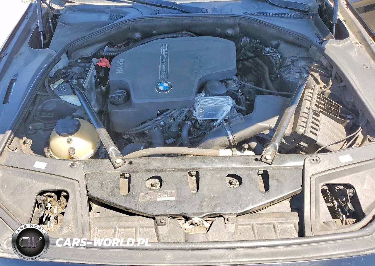 2013 BMW 528 I VIN:WBAXG5C59DDY33838 - 11