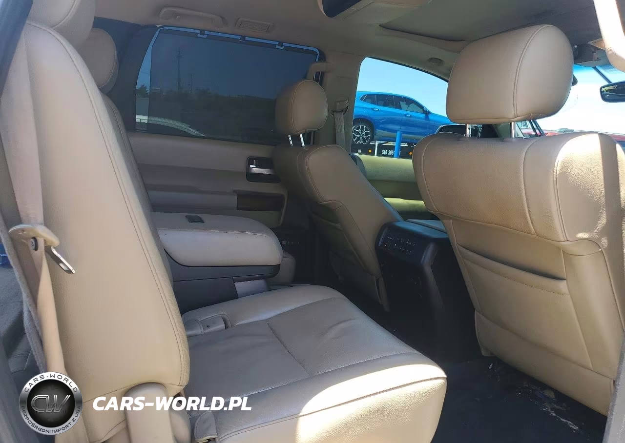 2017 Toyota Sequoia Platinum VIN:5TDDW5G17HS155360 - 10