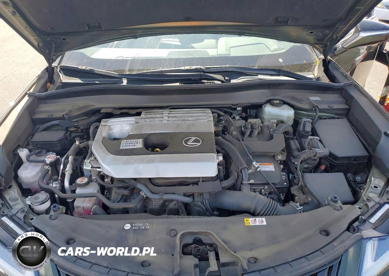 2021 Lexus Ux 250H VIN:JTHX9JBH0M2038043 - 12