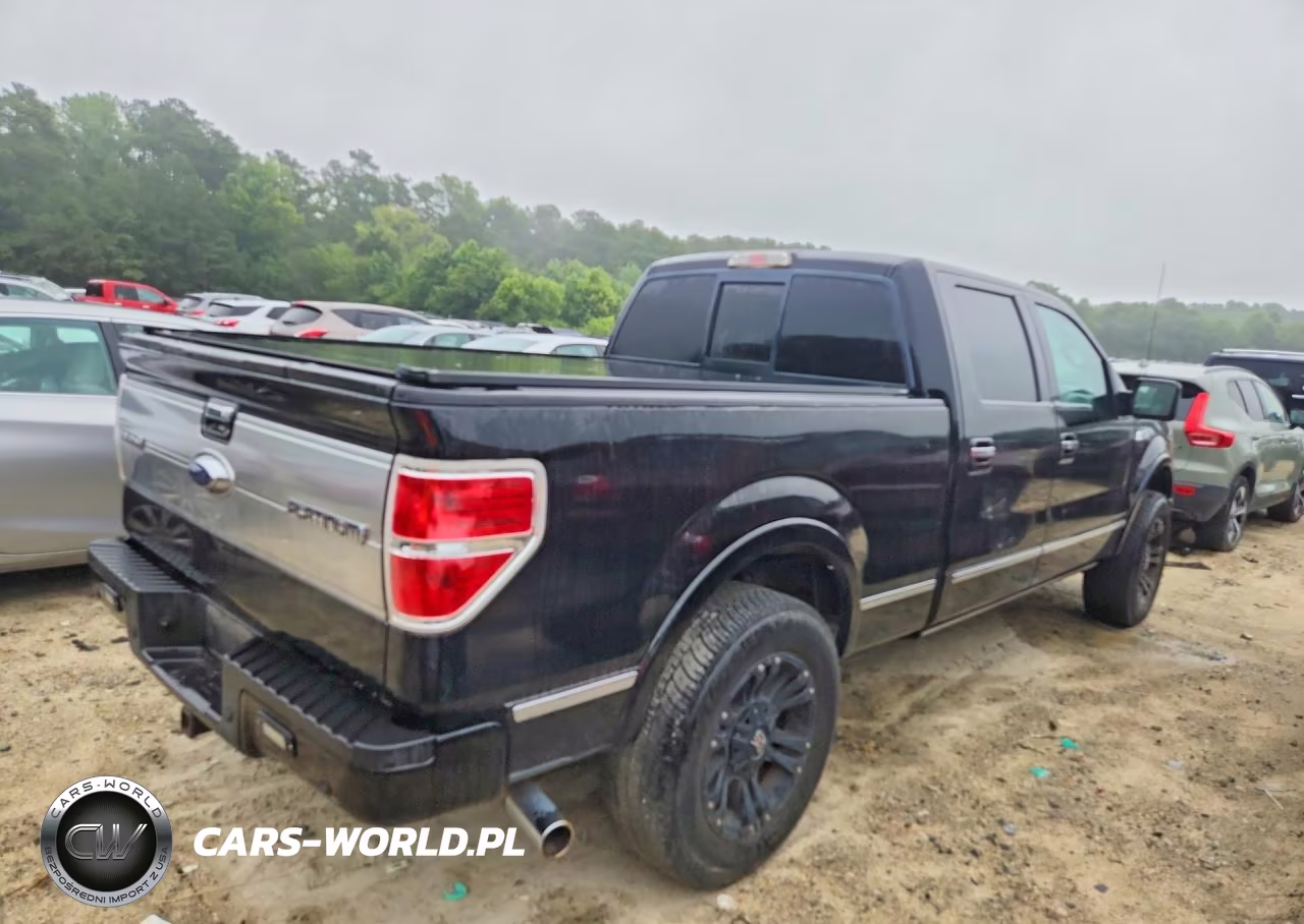 2011 Ford 12 Pass Va VIN:1FTFW1EF9BFD05802 - 3