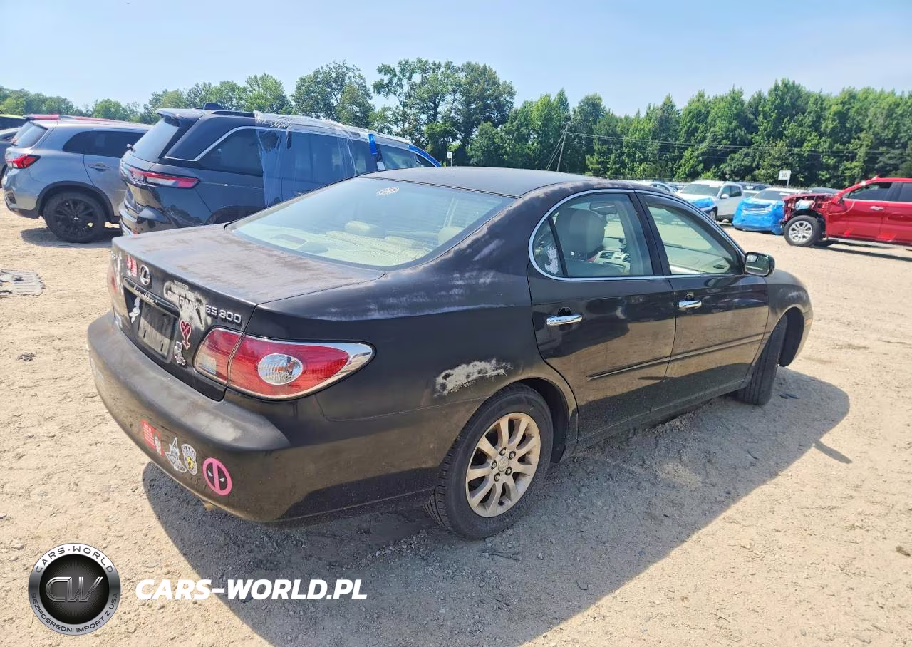 2003 Lexus Es 300 VIN:JTHBF30G730148607 - 3