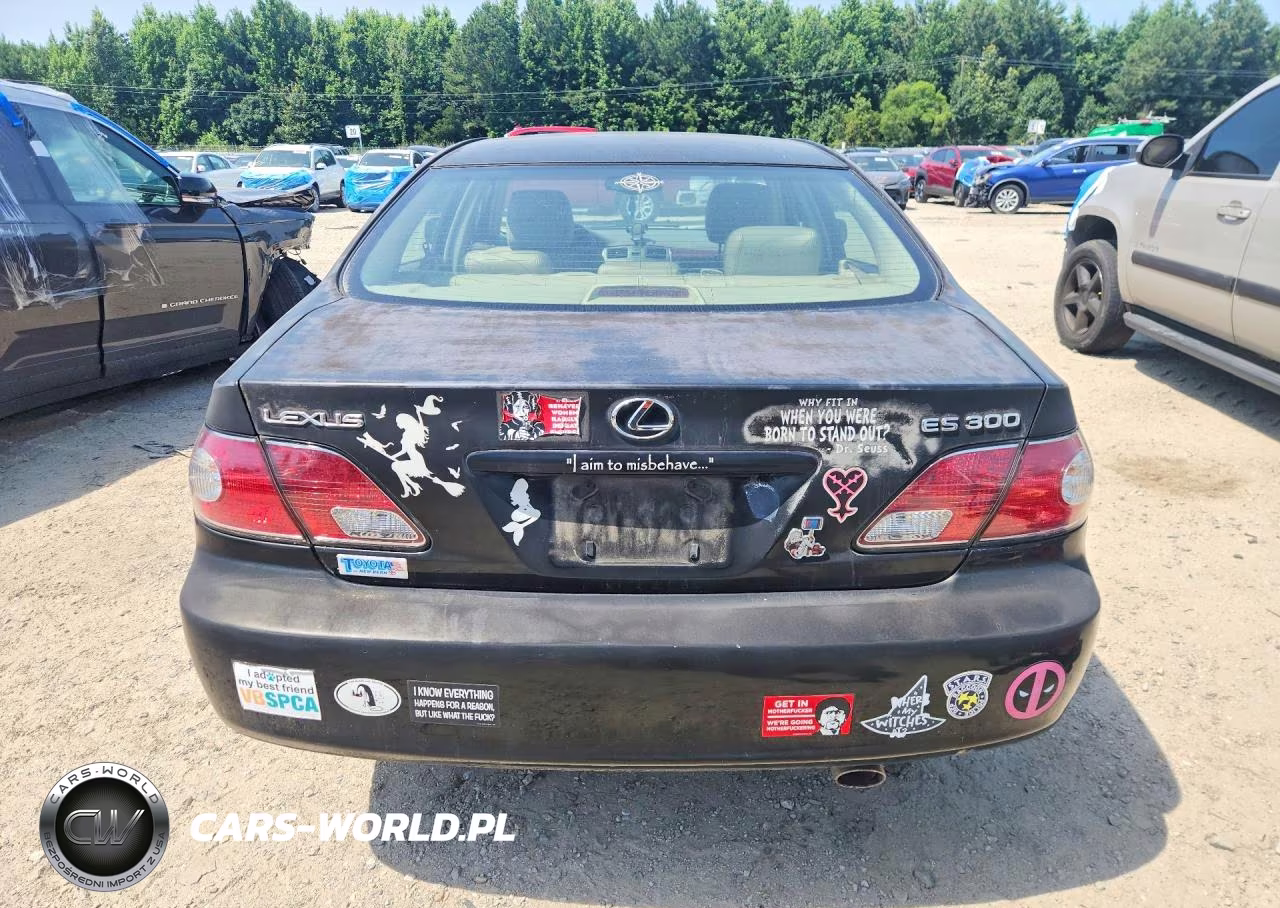 2003 Lexus Es 300 VIN:JTHBF30G730148607 - 6