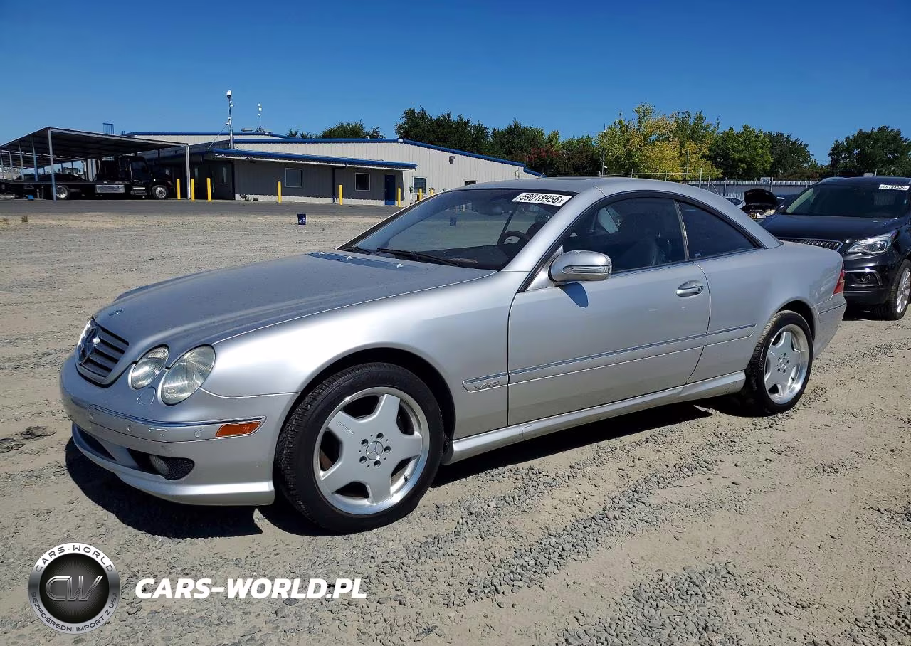2002 Mercedes-Benz Cl 600