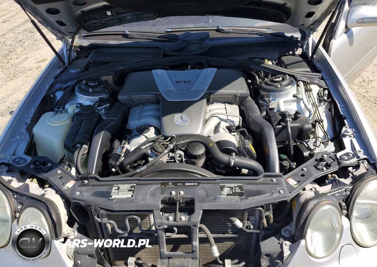 2002 Mercedes-Benz Cl 600 VIN:WDBPJ78J82A026794 - 11