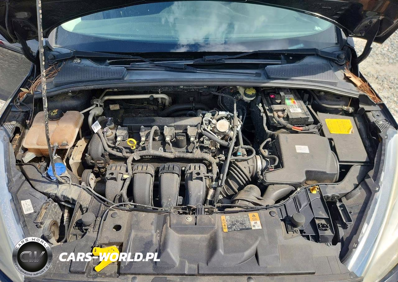 2016 Ford Focus Se VIN:1FADP3K26GL375922 - 11