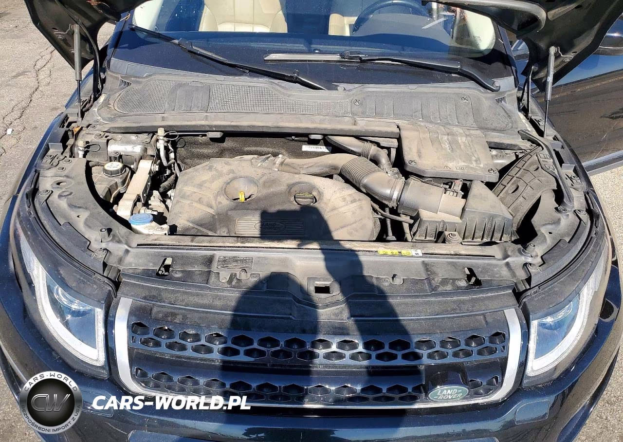 2016 Land Rover Range Rover Evoque Se VIN:SALVP2BG6GH154031 - 11