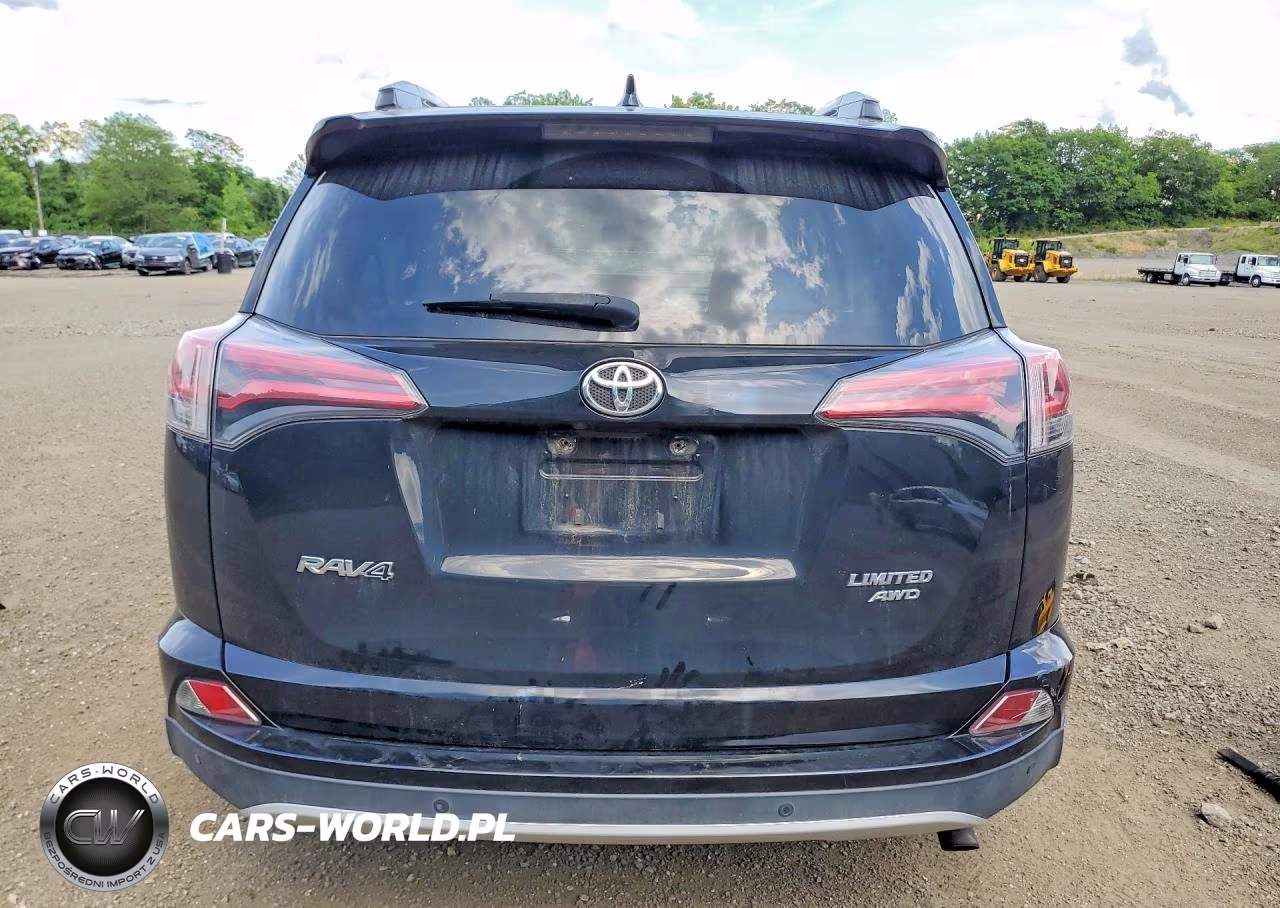 2016 Toyota Rav4 Limited VIN:2T3DFREV8GW480397 - 6