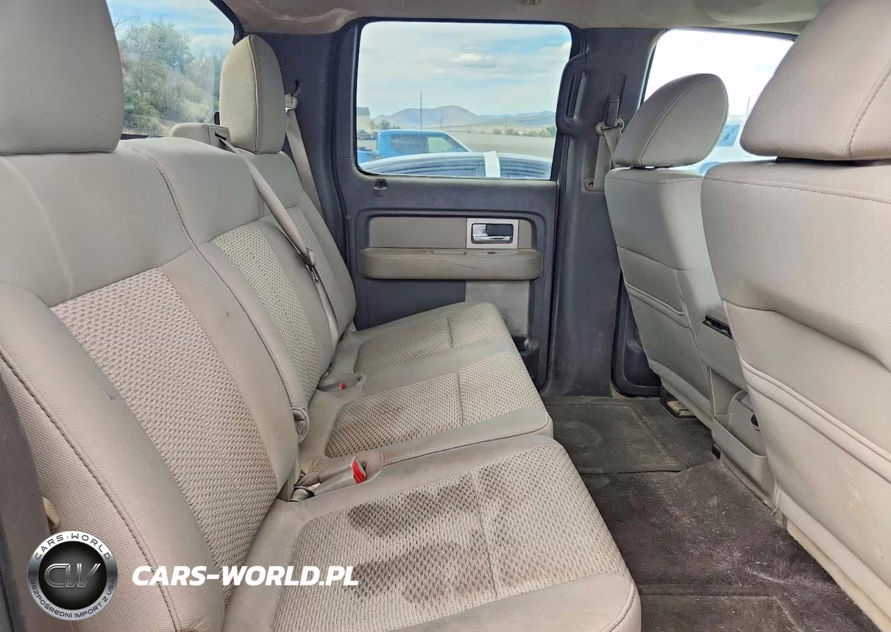 2010 Ford F150 Supercrew VIN:1FTFW1EV5AKC19867 - 10