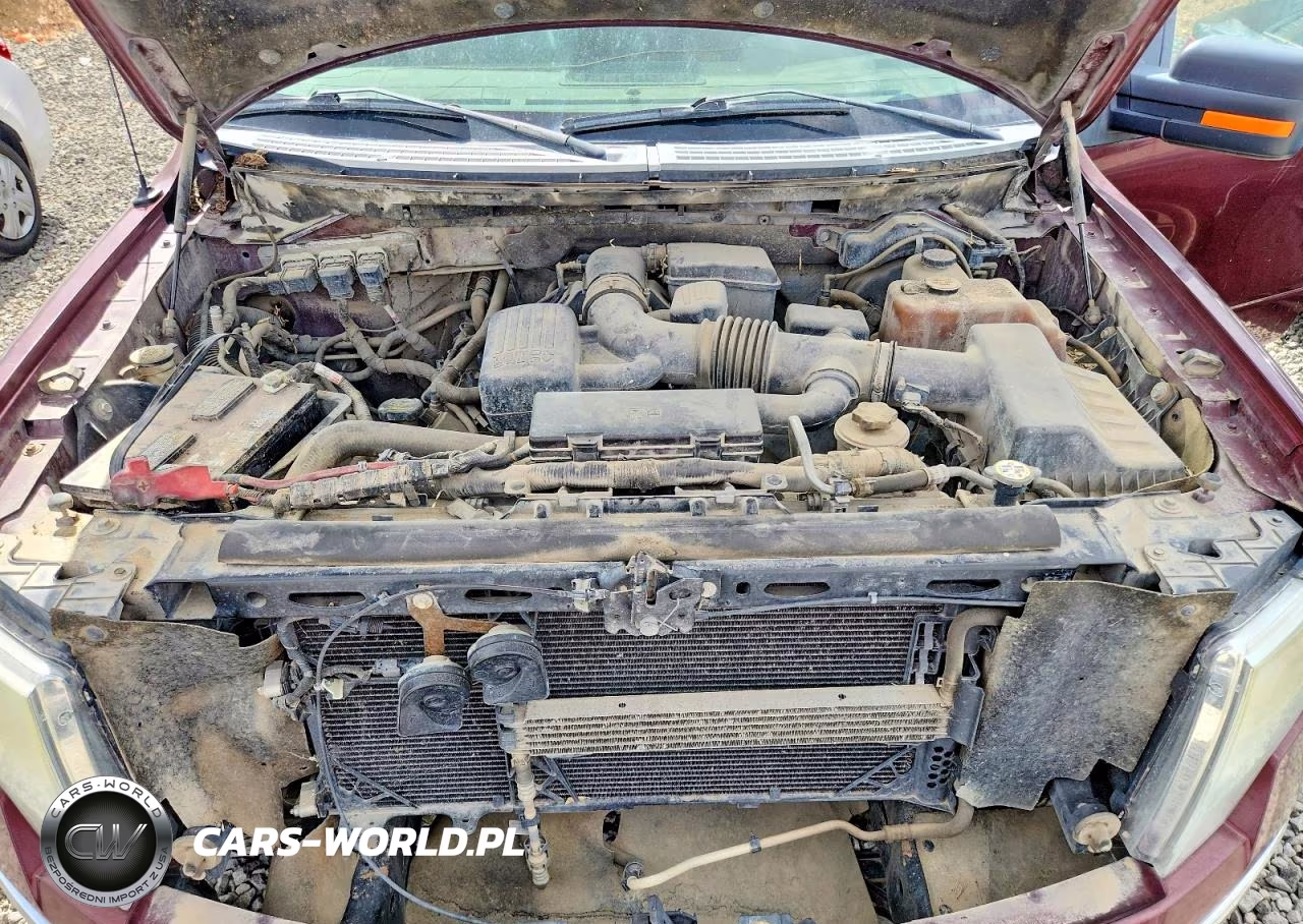 2010 Ford F150 Supercrew VIN:1FTFW1EV5AKC19867 - 11