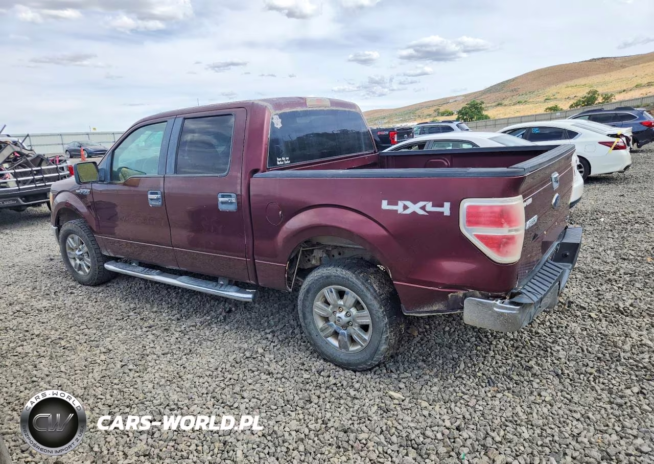 2010 Ford F150 Supercrew VIN:1FTFW1EV5AKC19867 - 2
