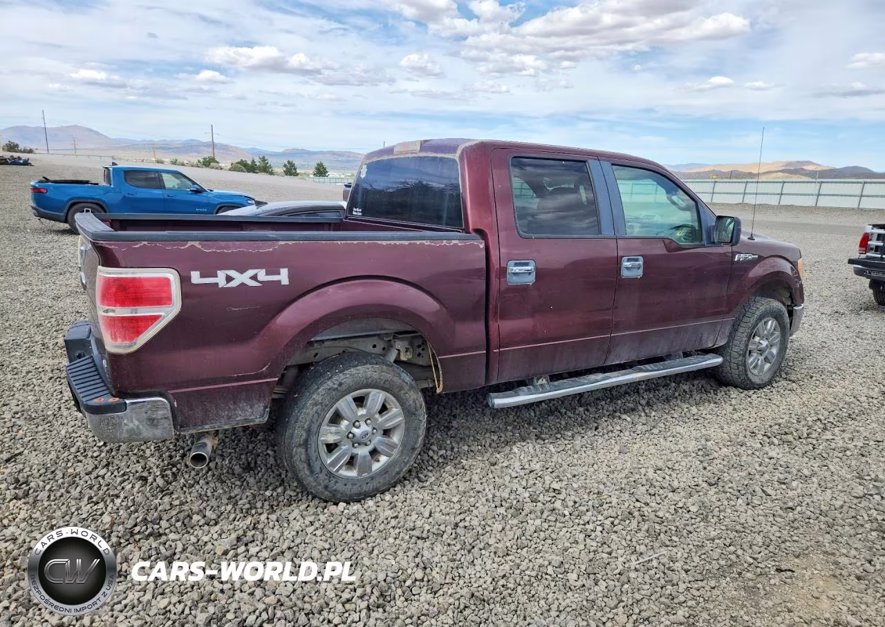 2010 Ford F150 Supercrew VIN:1FTFW1EV5AKC19867 - 3