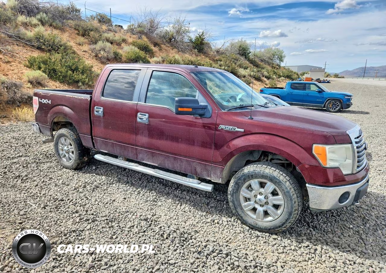 2010 Ford F150 Supercrew VIN:1FTFW1EV5AKC19867 - 4