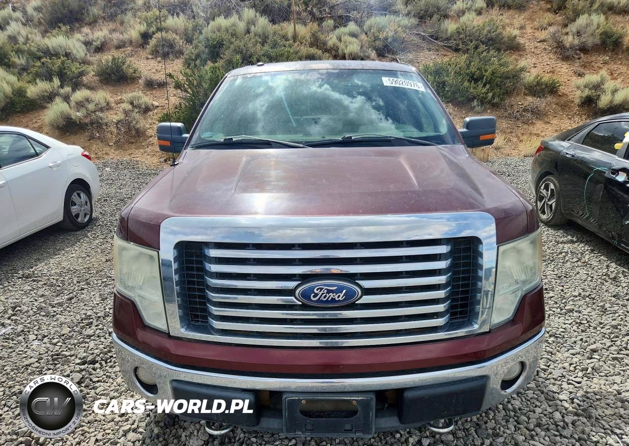 2010 Ford F150 Supercrew VIN:1FTFW1EV5AKC19867 - 5