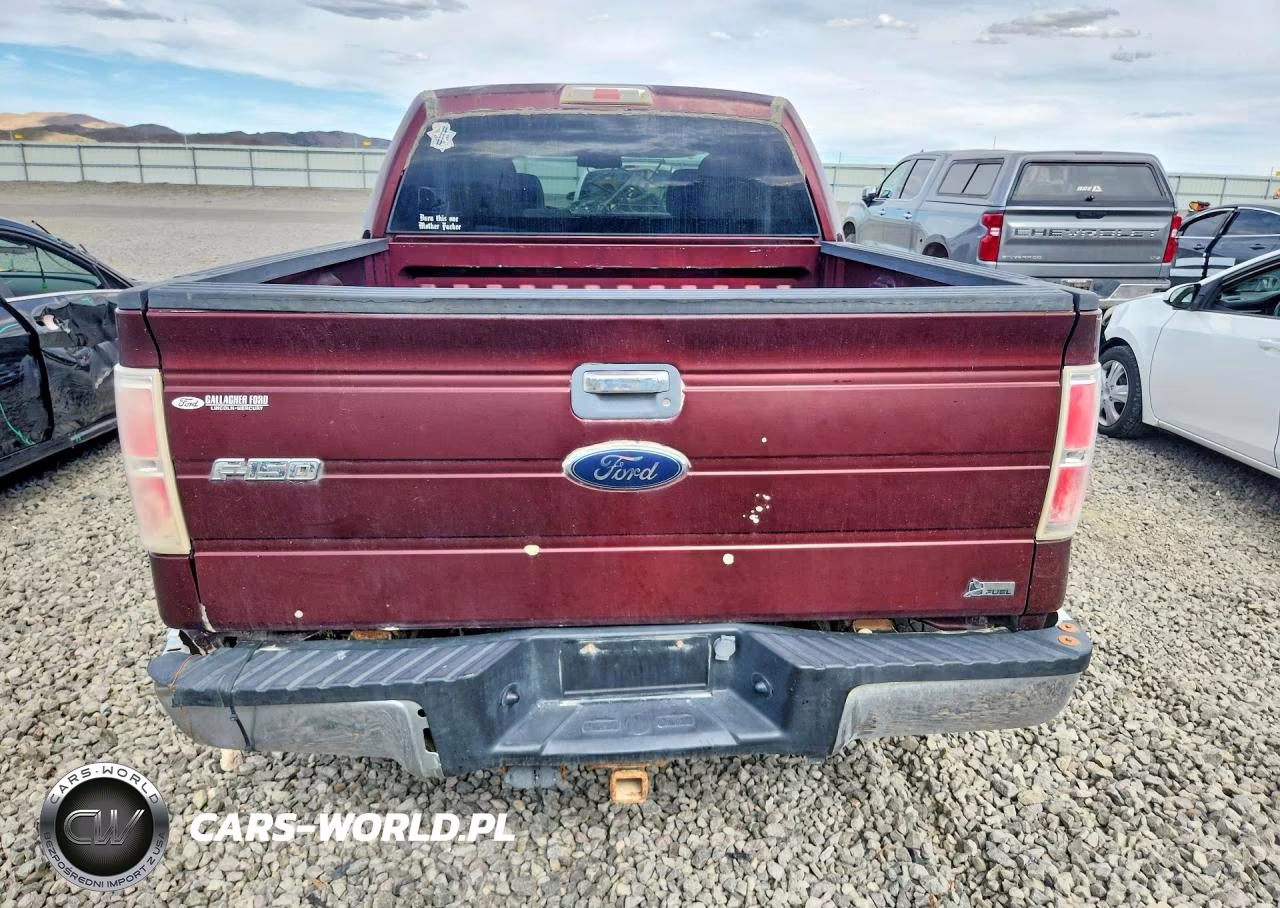 2010 Ford F150 Supercrew VIN:1FTFW1EV5AKC19867 - 6