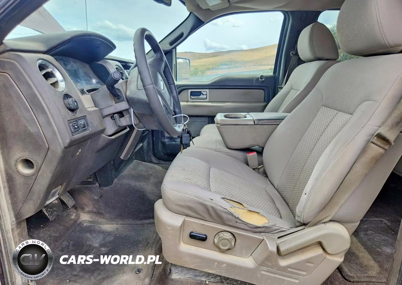 2010 Ford F150 Supercrew VIN:1FTFW1EV5AKC19867 - 7