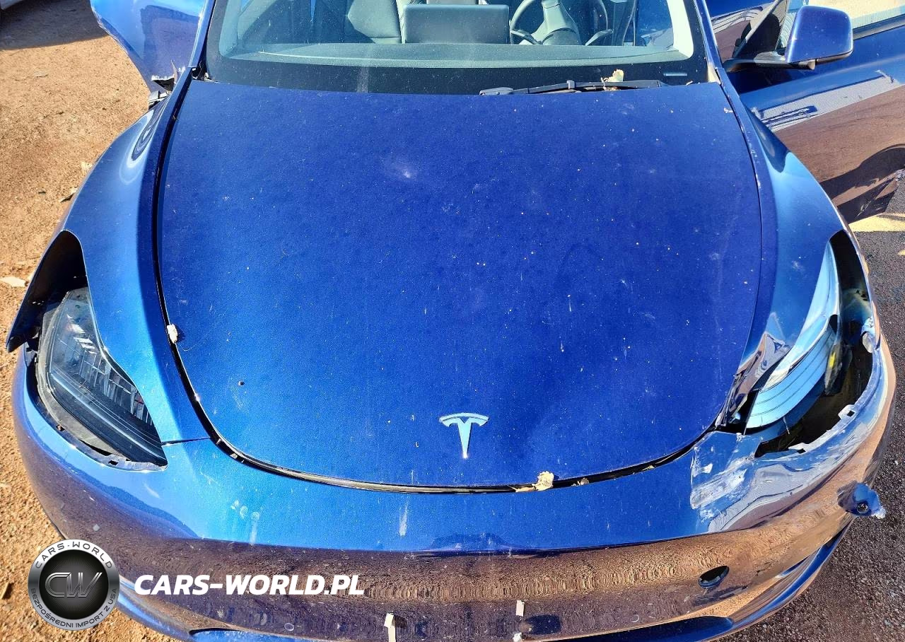 2022 Tesla Model Y VIN:7SAYGDEE3NA011075 - 11