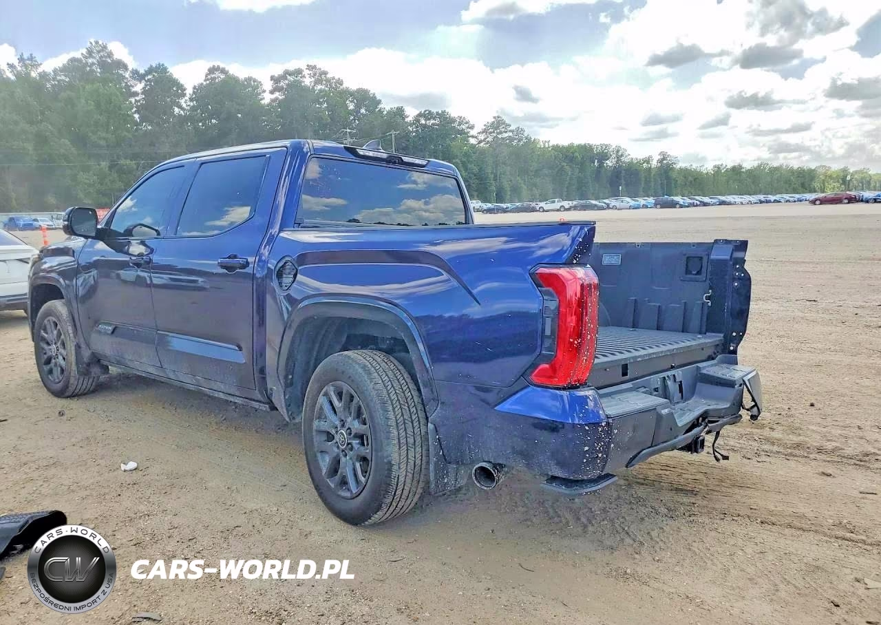 2024 Toyota Tundra Platinum VIN:5TFNA5DB3RX206087 - 2