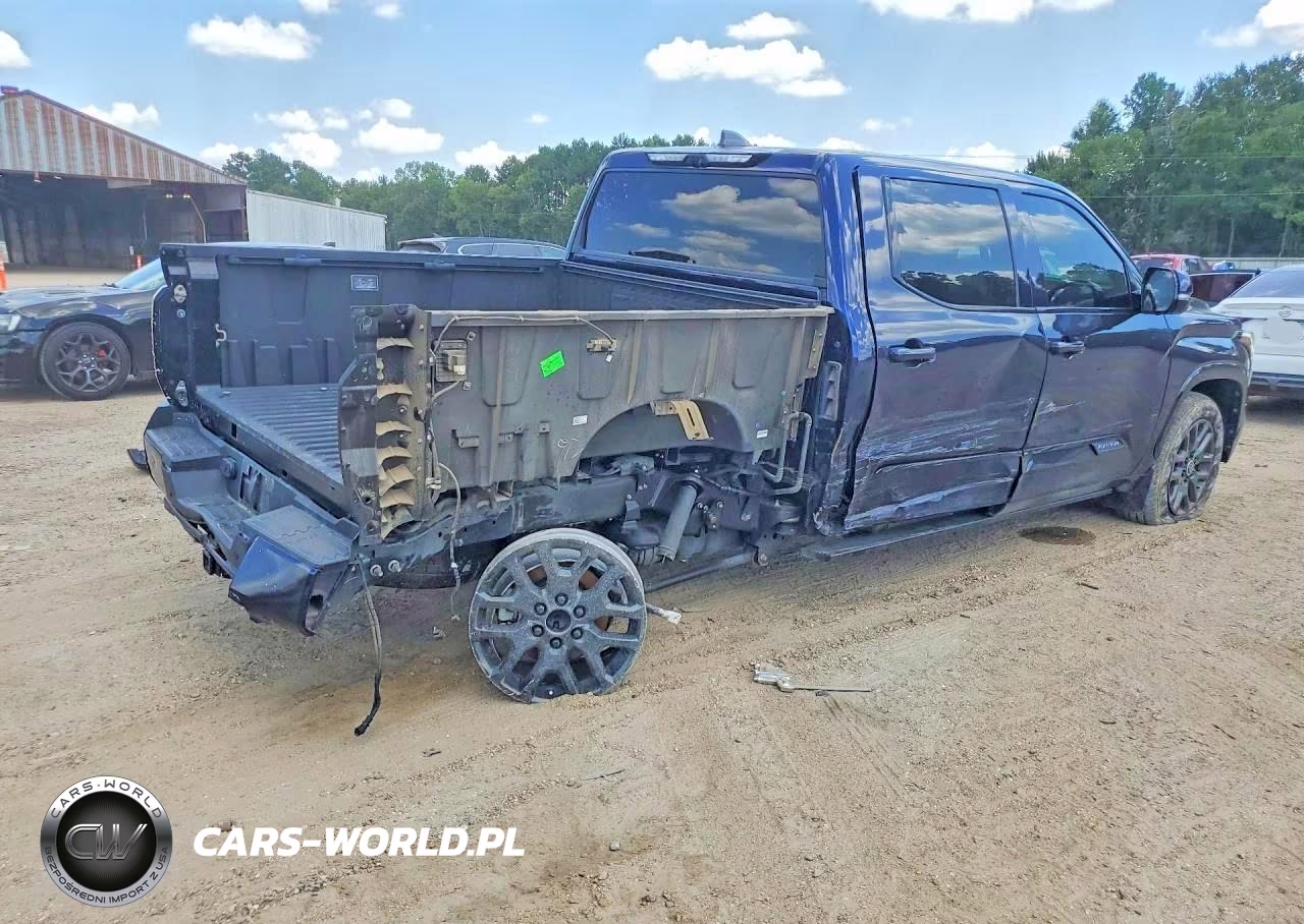 2024 Toyota Tundra Platinum VIN:5TFNA5DB3RX206087 - 3