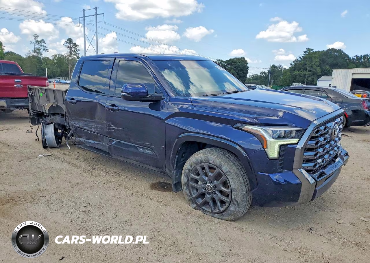 2024 Toyota Tundra Platinum VIN:5TFNA5DB3RX206087 - 4
