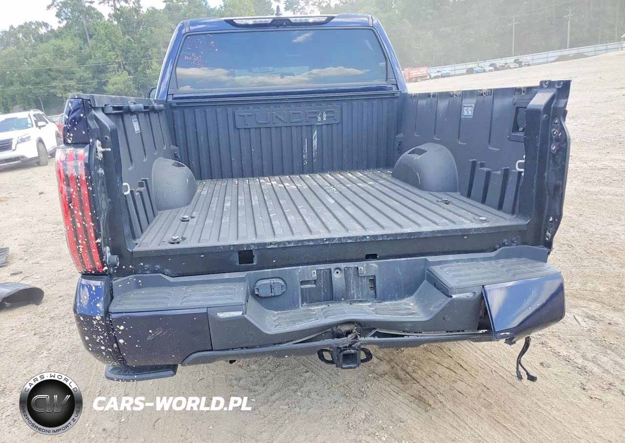 2024 Toyota Tundra Platinum VIN:5TFNA5DB3RX206087 - 6