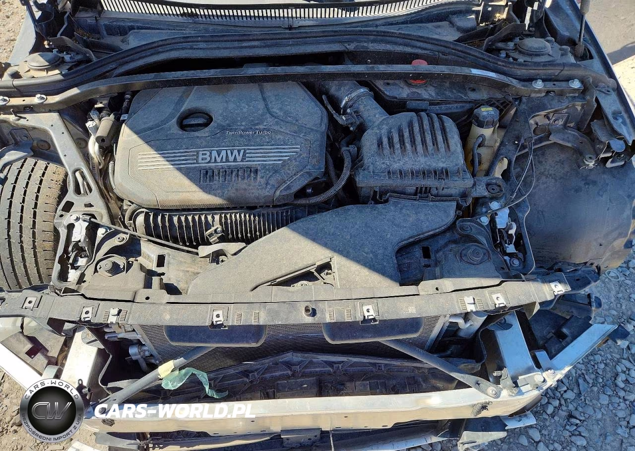 2021 BMW 228I VIN:WBA53AK00M7H71930 - 11